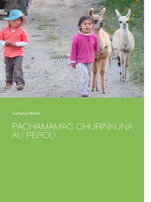 cover image of Pachamamac Churinkuna au Perou